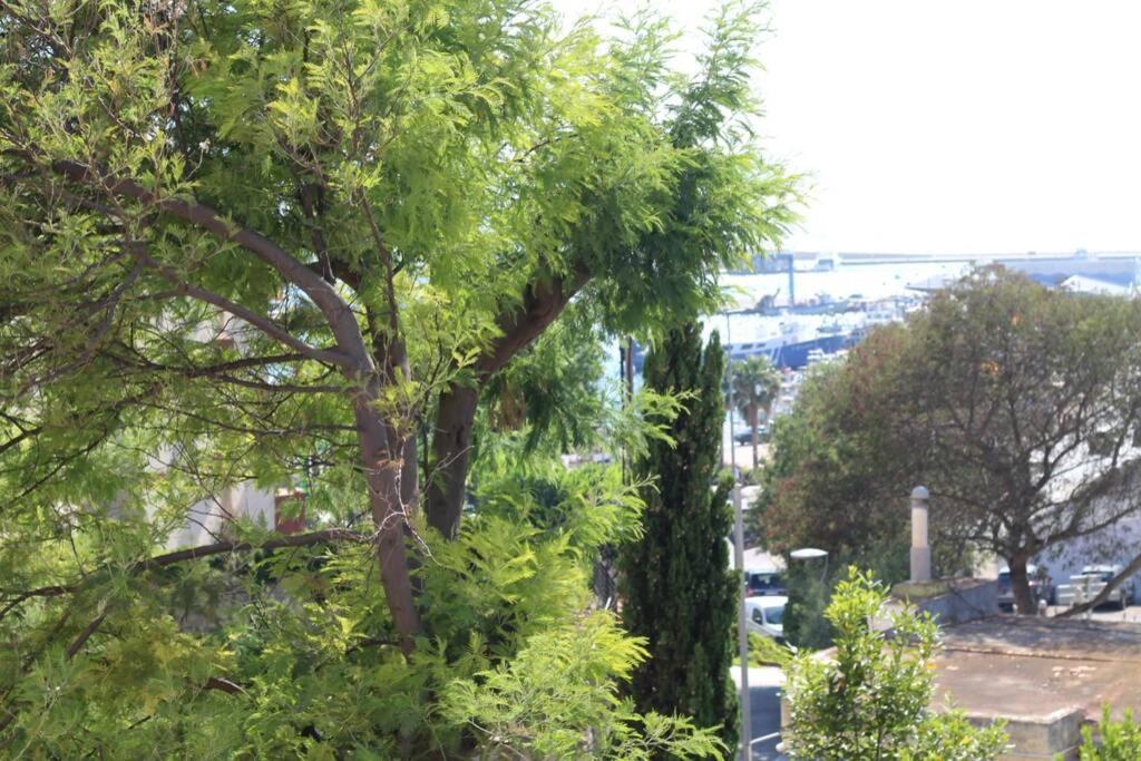 Junto Al Mar En Rosas, Puig Rom Nuevo, Wifi, Tranquilidad Apartment Bagian luar foto
